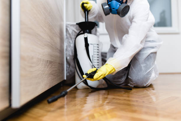 Best Pest Inspection Near Me  in Hunters Creek Village, TX