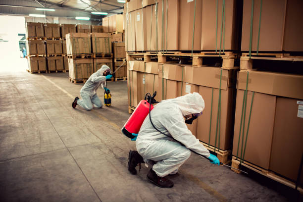 Best Termite Control Services  in Hunters Creek Village, TX