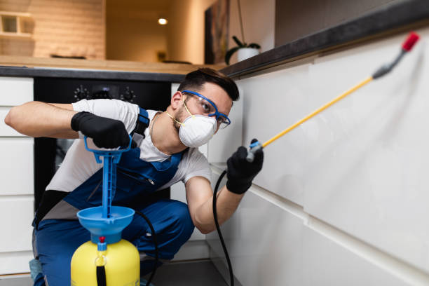 Trusted Hunters Creek Village, TX Pest Control Experts