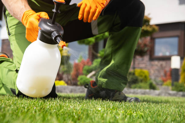 Best Exterminator Services  in Hunters Creek Village, TX