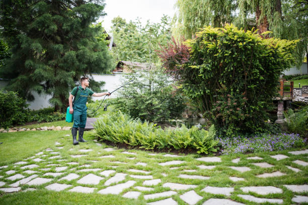 Best Best Pest Control Companies  in Hunters Creek Village, TX