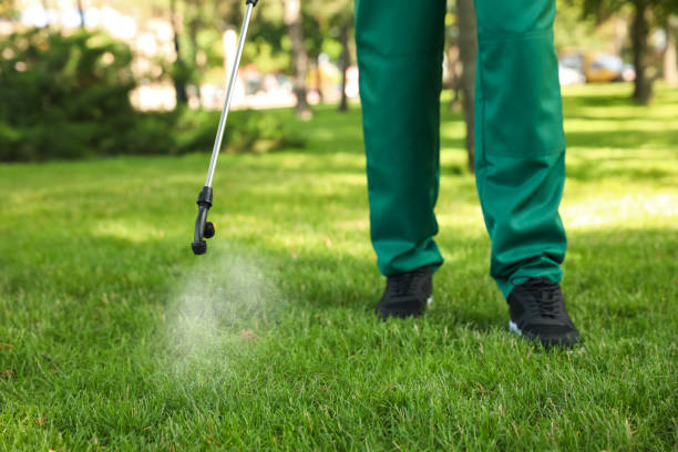 Best Affordable Pest Control Services  in Hunters Creek Village, TX