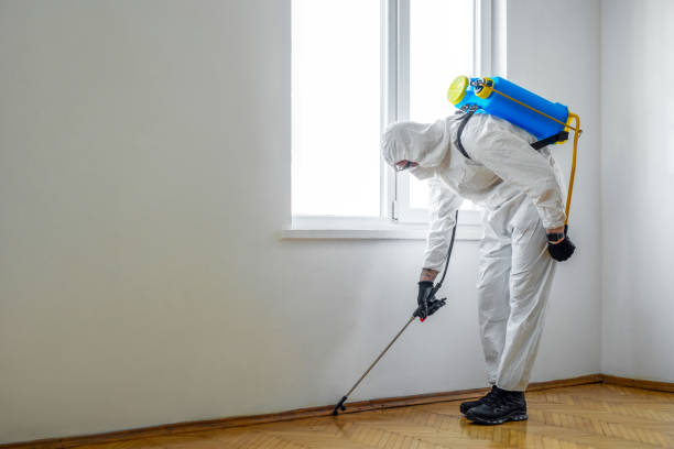 Best Pest Prevention Services  in Hunters Creek Village, TX